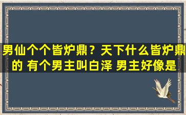 男仙个个皆炉鼎？天下什么皆炉鼎的 有个男主叫白泽 男主好像是36个